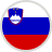 Slovenia Flag